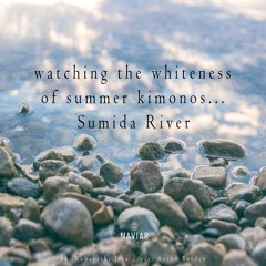 halF summeR [naviarhaiku396]