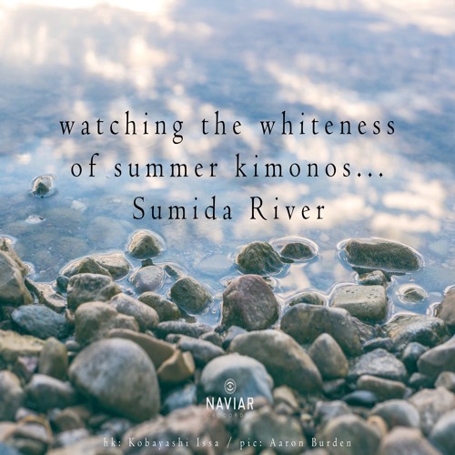 halF summeR [naviarhaiku396]