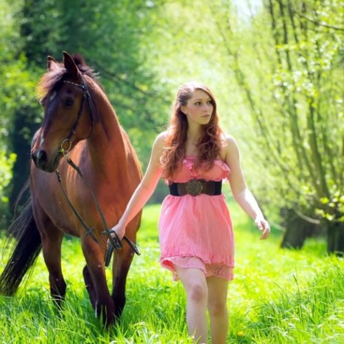 Afghan Parliament best background DOWNLOAD