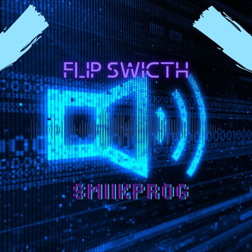 FLIP SWICTH - (SMIIKPROG)