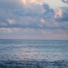 남겨진 이들을 위하여