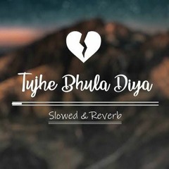 Tujhe Bhula Diya - Lofi Song (Slowed Reverb)