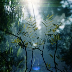 I Never Recovered // from new album 'Be Well'