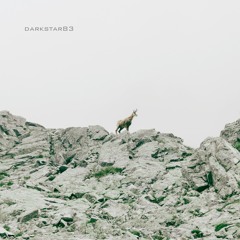 The Walls Of Depression