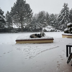 Last Christmas sad version