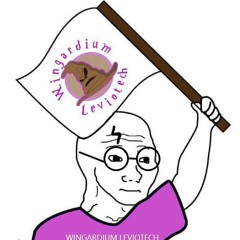 Wingardium leviotech 2021.mp3