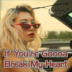 Tripp - If Youre Gonna Break My Heart