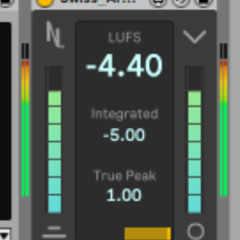 11.8 Riddim :^) This is how u LUFS (Audio Warning)