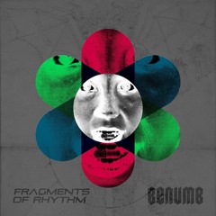 Fragments of Rhythm