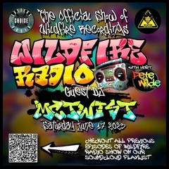 Wildfire Radio Show #16 [Guest DJ McTwist]