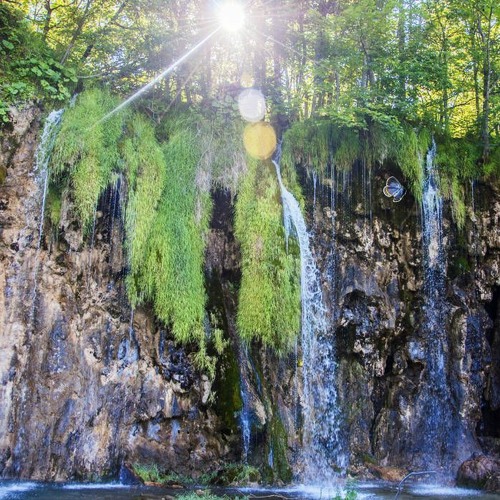 Karner Blue - Vernal Pools
