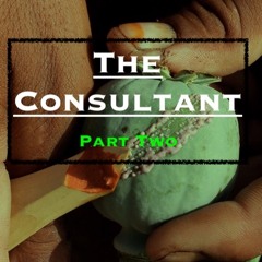 Ep44. ’The Consultant - An International Special Services Provider’ - Part 2