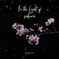 In the light of sakura