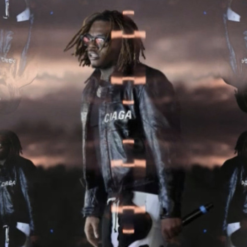 Gunna - Birds in the Trap (DS4 SNIPPET)