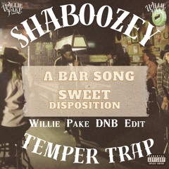 ShaBoozey - A Bar Song X Sweet Disposition (Willie Pake DNB Mashup)