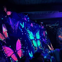 Hans Solo live@Safari - The Butterfly Experience 22.08.25