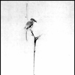 Shrike on a Bending Reed the Subtle Felt Sense