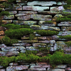 Ruins