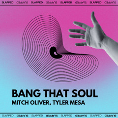 Mitch Oliver, Tyler Mesa - Bang That Soul (Original Mix)