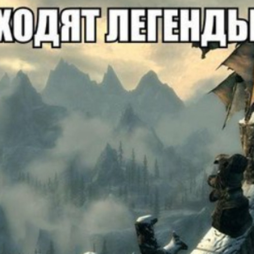 exelento perfecinimo