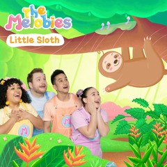 Little Sloth