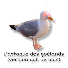 L’attaque des goélands (version gull de bois)