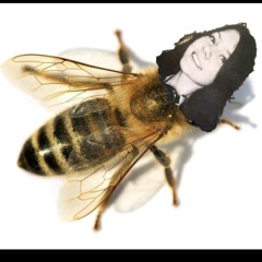 Фрэнк? - когда не останется слов