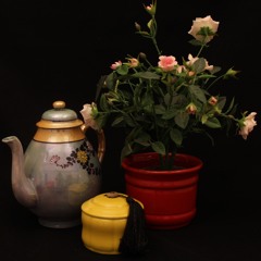 Du är min ende vän (cover)