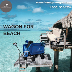 How to Choose the Perfect Wagon for Beach Adventures