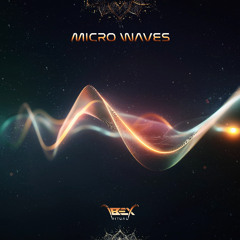 IbeX - Micro Waves