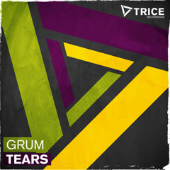 Grum - Tears (Dmitry Molosh Remix)