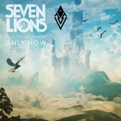Seven Lions - Only Now | VINITII Remix