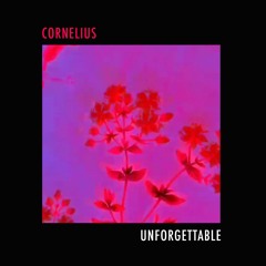 unforgettable (cornelius flip)