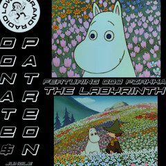 The Labyrinth guest mix by ODJ Pirkka (23th June 2025)