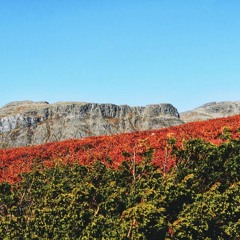 HK_Libre_Dance_Sets_194