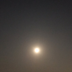 The Divine Is in You