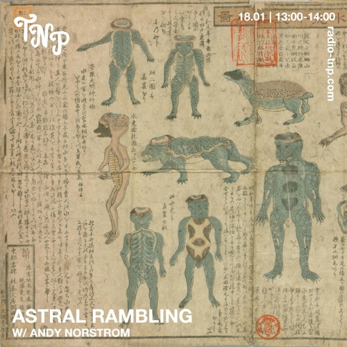 Astral Ramblings w/ Andy Nostrom @ Radio TNP 18.01.2025