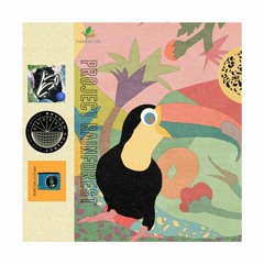 Saturated Feelings (from 'Project Rainforest' Compilation)