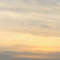 Ladies And Gentlemen We Are Floating In Space(cover)