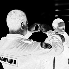 Рубка тайги