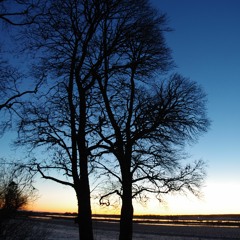 Crazy Nights - Hutter Inspiring Group