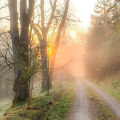 Just a morning walk...