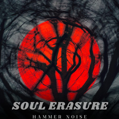 Soul Erasure