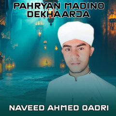 Pahryan Madino Dekharjaa