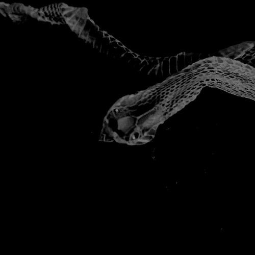 Void Of Empathy - Dark Pit Ecdysis