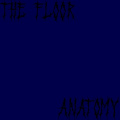 THE FLOOR - ANATOMY