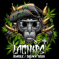 LaChips - Weedy Monkey ( 420 Special Mix )