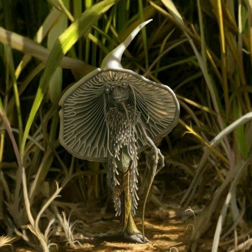 Forest Creatures (2010 year production)