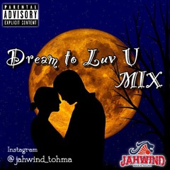 DREAM TO LUV U MIX(JAPANESE REGGAE)