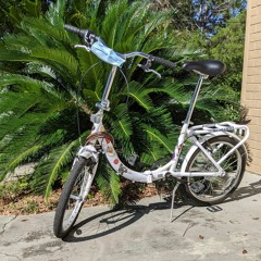 I Wish Haruko Was Real